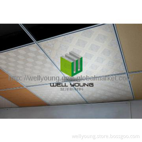 Magnesium board partition ceiling